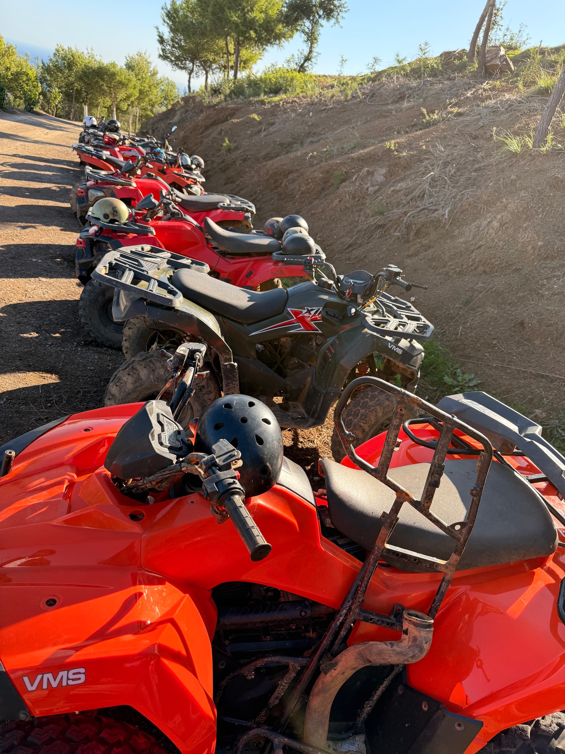 Sortie en quad sur les sentiers de la ferme